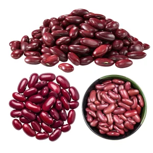 Light Red Kidney Beans Seeds - Heirloom Legume - 15 Seeds - Easy Grow - Image 7