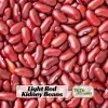 Light Red Kidney Beans Seeds - Heirloom Legume - 15 Seeds - Easy Grow - Image 1