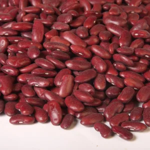Light Red Kidney Beans Seeds - Heirloom Legume - 15 Seeds - Easy Grow - Image 8