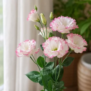 Lisianthus Echo Pink Picotee Seeds - Bicolor Double Flowers, Rose & White, 20 Seeds - Image 5