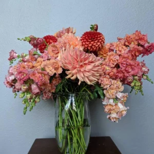 Madame Butterfly Bronze Snapdragon Seeds - 30 Seeds - Cut Flowers, Cold Resistant - Image 11