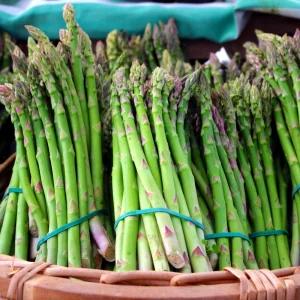 Mary Washington Asparagus Seeds – Heirloom Perennial Vegetable – Cold Hardy – High Yield – 30 Seeds - Image 13