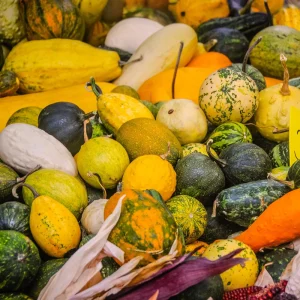 Mixed Gourd Seeds - 10 Count Heirloom Decorative Gourds for Fall Decor - Image 3