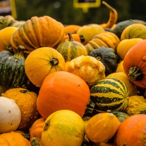Mixed Gourd Seeds - 10 Count Heirloom Decorative Gourds for Fall Decor - Image 4