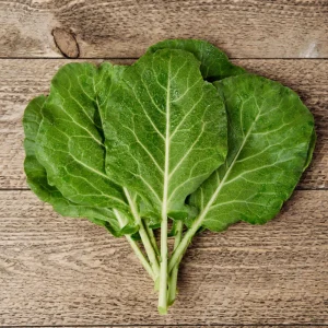 Morris Heading Kale Seeds - 20 Count Pack - Brassica oleracea var. viridis - Cold Hardy Vegetable - Image 10