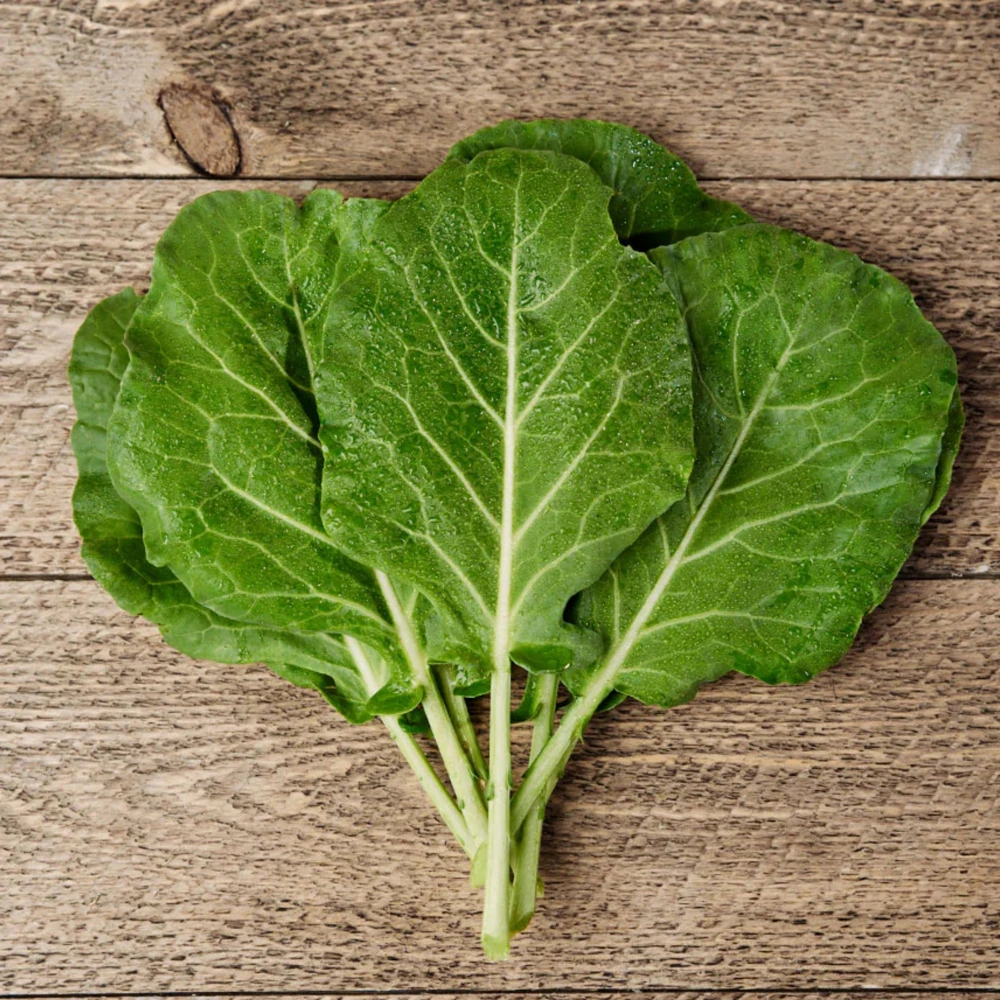 Morris Heading Kale Seeds - 20 Count Pack - Brassica oleracea var. viridis - Cold Hardy Vegetable - Image 10