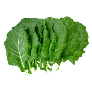 Morris Heading Kale Seeds - 20 Count Pack - Brassica oleracea var. viridis - Cold Hardy Vegetable - Image 5