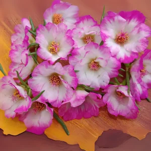 Moss Rose Seeds - Portulaca Grandiflora Double Mixed Color Blooms - 50 Seeds - Image 10