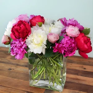 Peony Flower Seeds - 10 Count - Open-Pollinated Heirloom Seeds for Garden - Image 3
