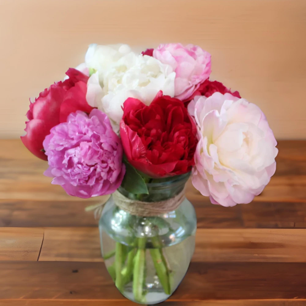 Peony Seeds - 10 Seeds Pack - Heirloom Open-Pollinated Flower Seeds - Image 7