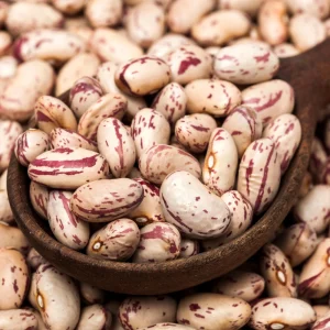 Pinto Bean Seeds - 15 Seeds Heirloom Bush Variety - High Yield Speckled Beans for Garden - Image 10