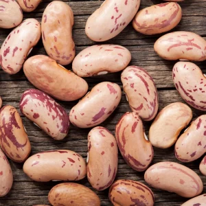 Pinto Bean Seeds - 15 Seeds Heirloom Bush Variety - High Yield Speckled Beans for Garden - Image 2