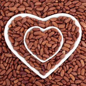Pinto Bean Seeds - 15 Seeds Heirloom Bush Variety - High Yield Speckled Beans for Garden - Image 3