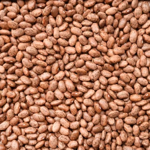 Pinto Bean Seeds - 15 Seeds Heirloom Bush Variety - High Yield Speckled Beans for Garden - Image 5
