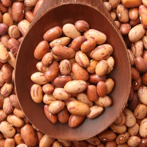 Pinto Bean Seeds - 15 Seeds Heirloom Bush Variety - High Yield Speckled Beans for Garden - Image 6