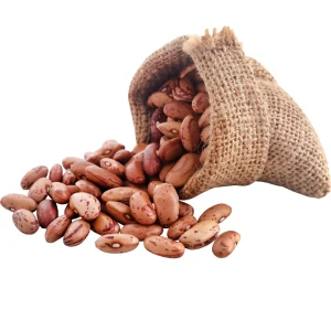 Pinto Bean Seeds - 15 Seeds Heirloom Bush Variety - High Yield Speckled Beans for Garden - Image 7