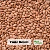 Pinto Bean Seeds - 15 Seeds Heirloom Bush Variety - High Yield Speckled Beans for Garden - Image 1