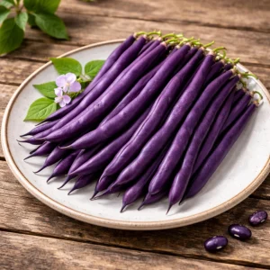 Purple French Filet Pole Bean Seeds - Heirloom Variety - 20 Seeds - High Yield Climbing Beans - Image 2