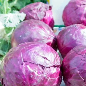 Red Acre Cabbage Seeds - Brassica oleracea - Heirloom Vegetable - 20 Seeds - Image 10