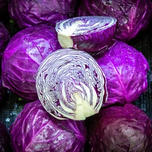 Red Acre Cabbage Seeds - Brassica oleracea - Heirloom Vegetable - 20 Seeds - Image 4
