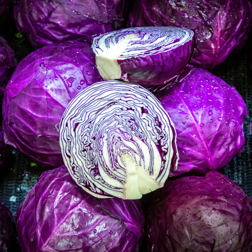 Red Acre Cabbage Seeds - Brassica oleracea - Heirloom Vegetable - 20 Seeds - Image 4