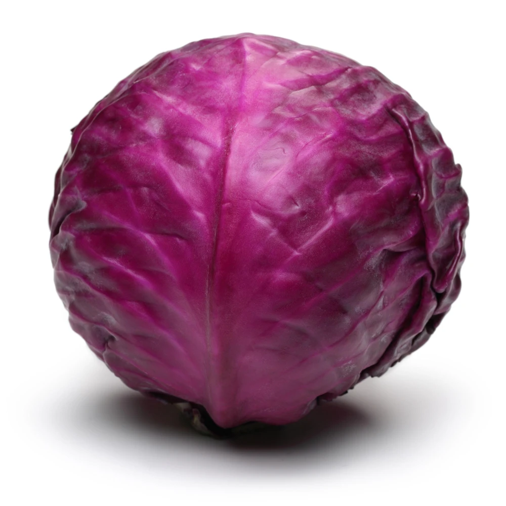 Red Acre Cabbage Seeds - Brassica oleracea - Heirloom Vegetable - 20 Seeds - Image 5