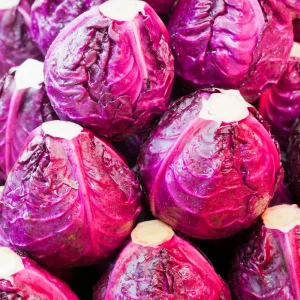 Red Acre Cabbage Seeds - Brassica oleracea - Heirloom Vegetable - 20 Seeds - Image 9