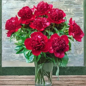 Red Charm Peony Seeds - 10 Pack - Perennial Paeonia Flower Seeds - Image 17