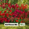 Red Flower Mix Seeds - 20 Seeds - Vibrant Annual & Perennial Garden Flowers - Image 1