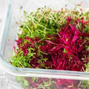 Red Garnet Amaranth Microgreen Seeds - Edible, Fast Growing - 30 Seed Pack - Image 7