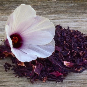Red Roselle Seeds - Jamaican Sorrel - Edible, Flowering - 10 Seeds - Image 5