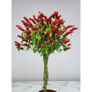 Red Shrimp Plant (Justicia Brandegeana) Live Plant – 2 Pack, 7-10" Tall, Well-Rooted - Image 1