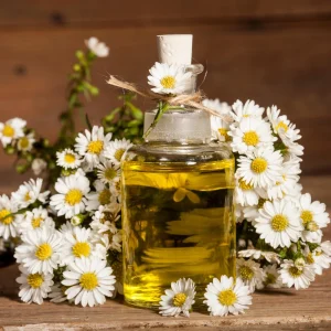 Roman Chamomile Seeds - Tea & Relaxation Perennial - Non GMO - 30 Seeds - Image 10