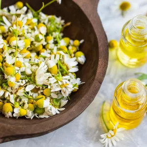Roman Chamomile Seeds - Tea & Relaxation Perennial - Non GMO - 30 Seeds - Image 9
