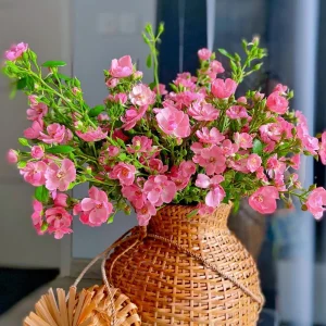 Rose Seeds - Perennial Flower Seeds - Clumping Bloom - Spring, Summer, Fall - Image 11