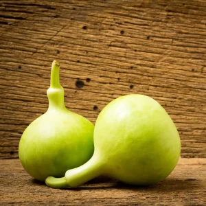 Round Bottle Gourd Seeds - Lagenaria Siceraria - 10 Edible Vegetable Seeds - Image 10