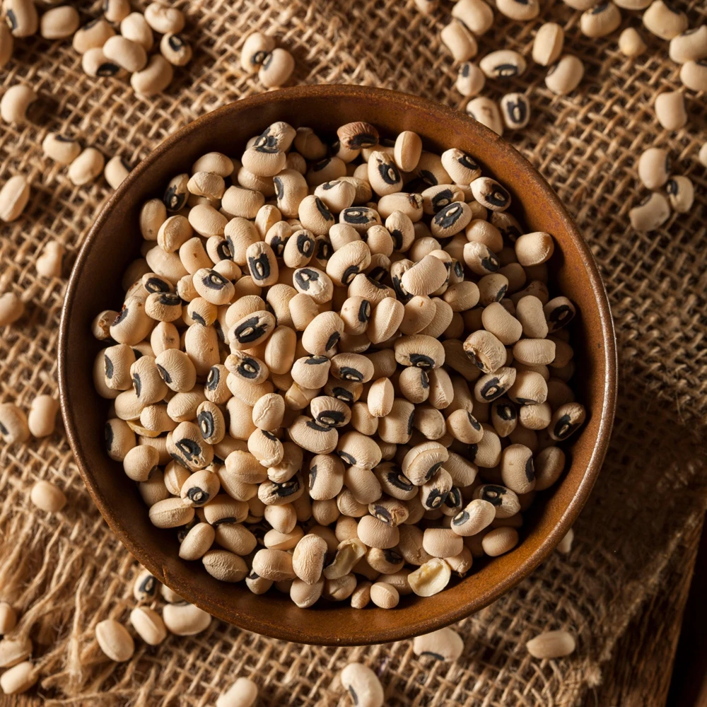 Semillas de guisantes de ojo negro - Variedad de caupí tradicional - Frijoles de mata baja de alto rendimiento - Frijoles cremosos de ojo oscuro fáciles de cultivar para el jardín - Image 10