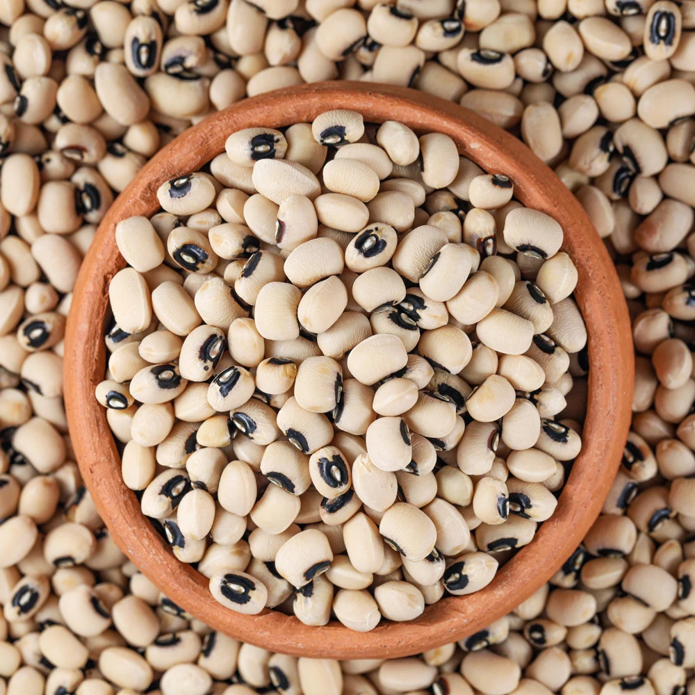 Semillas de guisantes de ojo negro - Variedad de caupí tradicional - Frijoles de mata baja de alto rendimiento - Frijoles cremosos de ojo oscuro fáciles de cultivar para el jardín - Image 13