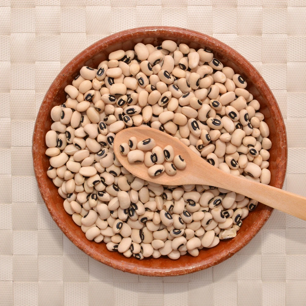 Semillas de guisantes de ojo negro - Variedad de caupí tradicional - Frijoles de mata baja de alto rendimiento - Frijoles cremosos de ojo oscuro fáciles de cultivar para el jardín - Image 15