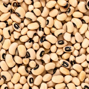 Semillas de guisantes de ojo negro - Variedad de caupí tradicional - Frijoles de mata baja de alto rendimiento - Frijoles cremosos de ojo oscuro fáciles de cultivar para el jardín - Image 4