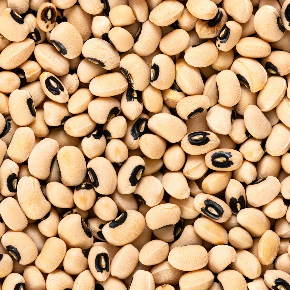 Semillas de guisantes de ojo negro - Variedad de caupí tradicional - Frijoles de mata baja de alto rendimiento - Frijoles cremosos de ojo oscuro fáciles de cultivar para el jardín - Image 4