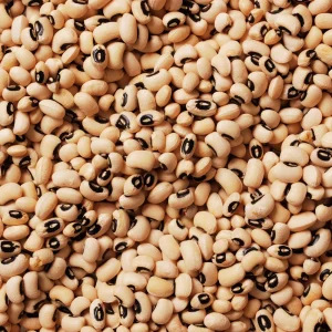 Semillas de guisantes de ojo negro - Variedad de caupí tradicional - Frijoles de mata baja de alto rendimiento - Frijoles cremosos de ojo oscuro fáciles de cultivar para el jardín - Image 7