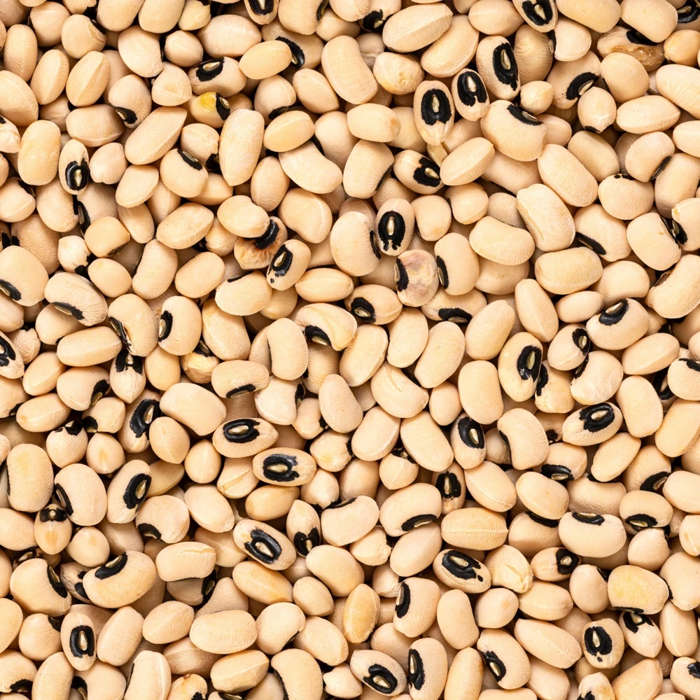 Semillas de guisantes de ojo negro - Variedad de caupí tradicional - Frijoles de mata baja de alto rendimiento - Frijoles cremosos de ojo oscuro fáciles de cultivar para el jardín - Image 8