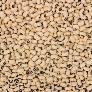 Semillas de guisantes de ojo negro - Variedad de caupí tradicional - Frijoles de mata baja de alto rendimiento - Frijoles cremosos de ojo oscuro fáciles de cultivar para el jardín - Image 9