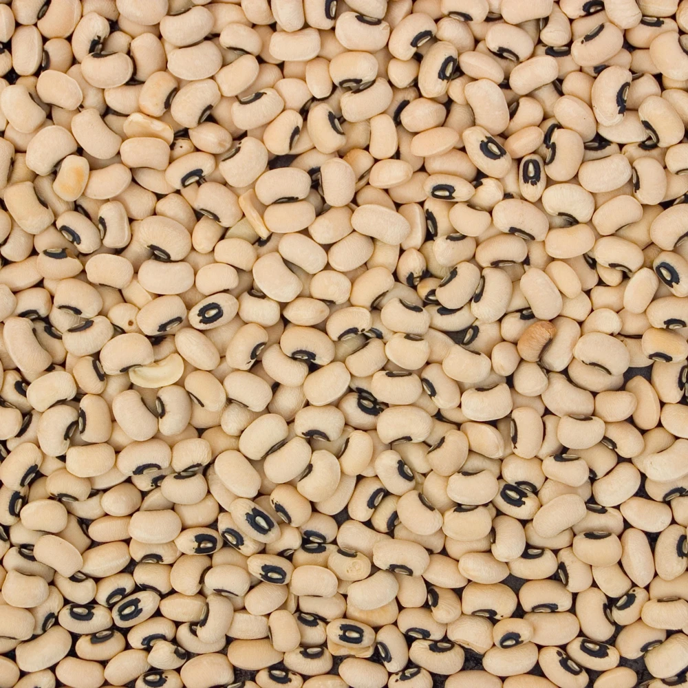 Semillas de guisantes de ojo negro - Variedad de caupí tradicional - Frijoles de mata baja de alto rendimiento - Frijoles cremosos de ojo oscuro fáciles de cultivar para el jardín - Image 9
