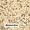 Semillas de guisantes de ojo negro - Variedad de caupí tradicional - Frijoles de mata baja de alto rendimiento - Frijoles cremosos de ojo oscuro fáciles de cultivar para el jardín - Image 1