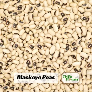 Semillas de guisantes de ojo negro - Variedad de caupí tradicional - Frijoles de mata baja de alto rendimiento - Frijoles cremosos de ojo oscuro fáciles de cultivar para el jardín - Image 1