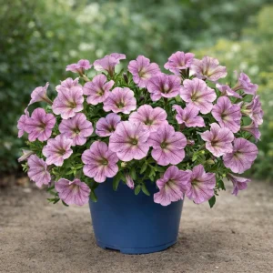 Silver Vein Trailing Petunia Seeds - Cascading Petunia, 20 Seeds - Image 2