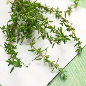Summer Savory Seeds - Satureja hortensis - Culinary Herb - 20 Seed Pack - Image 4