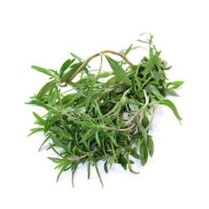 Summer Savory Seeds - Satureja hortensis - Culinary Herb - 20 Seed Pack - Image 7